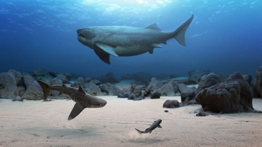 Dunkleosteus, art by Julio Lacerda
