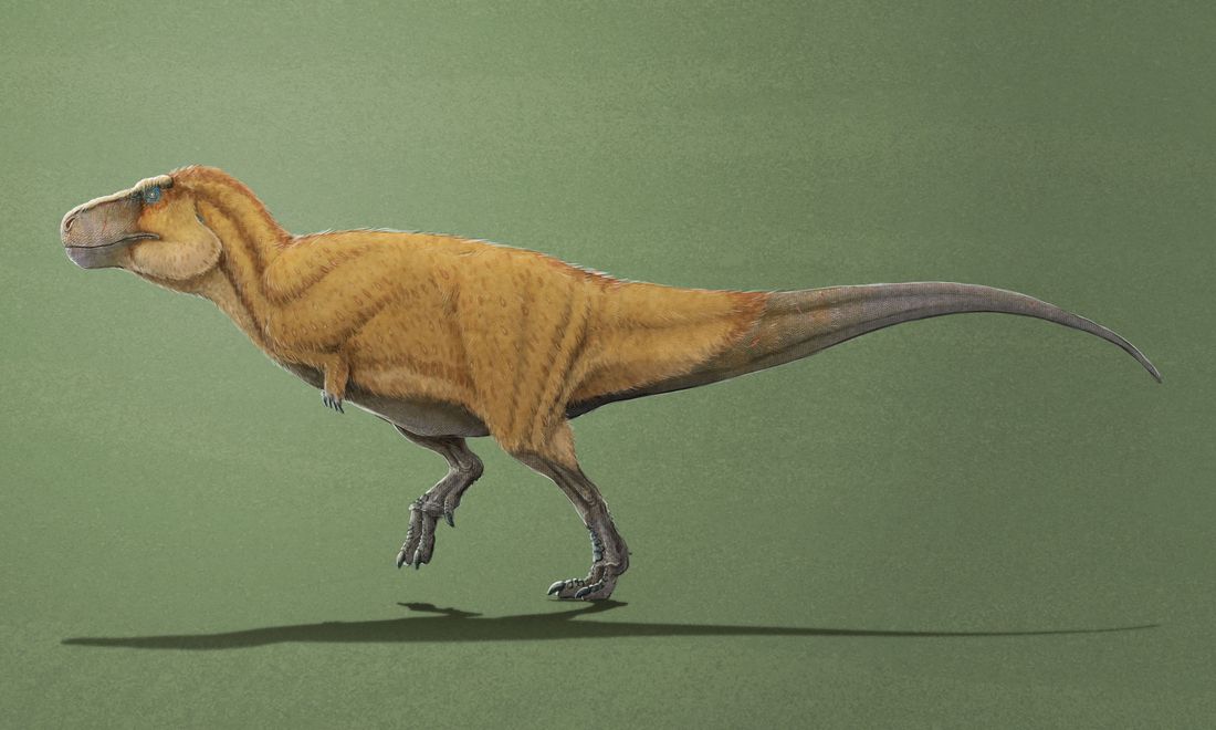 SUE the T. rex, art by Fabrizio De Rossi